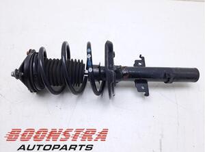 Suspension Strut RENAULT Grand Scénic IV (R9), RENAULT Scénic IV (J9)