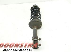 Suspension Strut DACIA SANDERO, DACIA SANDERO II