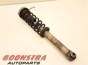 Suspension Strut BMW 7 (E65, E66, E67)