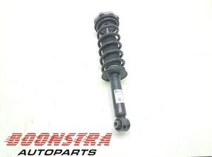 Suspension Strut BMW X3 (G01, F97)