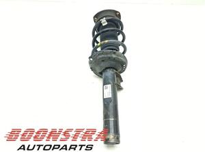 Suspension Strut SKODA KODIAQ (NS7, NV7, NS6)