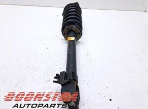 Suspension Strut MERCEDES-BENZ C-CLASS (W205)