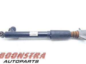 Shock Absorber AUDI A4 Avant (8K5, B8), AUDI A5 Sportback (8TA)