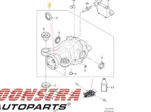 Rear Axle Gearbox / Differential JAGUAR F-PACE (X761)