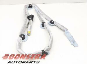 Roof Airbag AUDI A6 (4F2, C6)