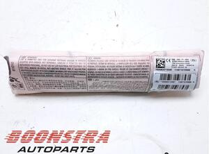 Airbag Sitz Ford EcoSport  2172741 P21463005