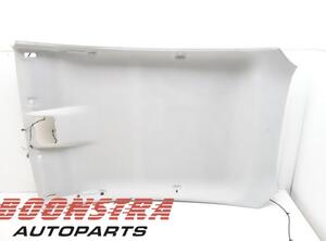 Front Interior Roof Trim Panel FORD FIESTA VI (CB1, CCN)