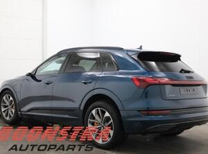 Boot (Trunk) Lid AUDI E-Tron (GEN)