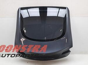 Boot (Trunk) Lid TESLA MODEL S (5YJS)