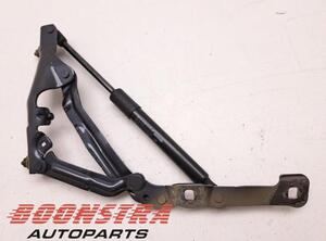 Bootlid (Tailgate) Gas Strut Spring TESLA Model 3 (5YJ3)