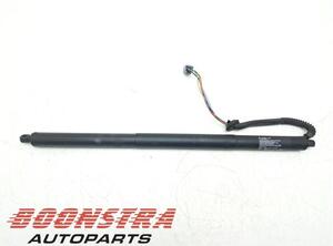 Bootlid (Tailgate) Gas Strut Spring TESLA MODEL S (5YJS)