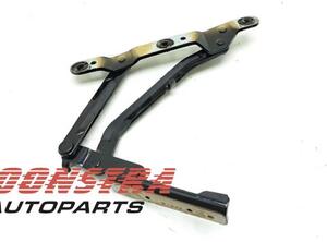 Bonnet Hinge FERRARI 599 GTB/GTO (--)