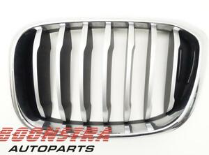 Radiator Grille BMW X3 (F97, G01)