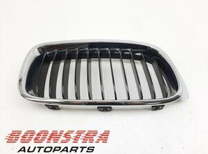 Radiateurgrille BMW 3er (F30, F80)