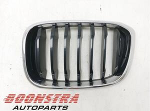 Radiateurgrille BMW X3 (G01, F97)