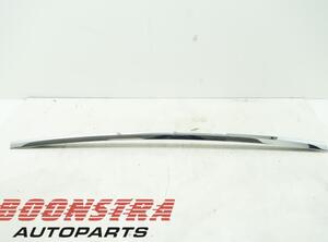 Trim Strip Bumper TESLA MODEL X (5YJX)