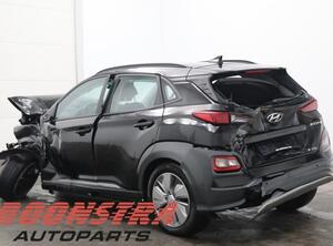 Door HYUNDAI Kona (OS, OSE, OSI)