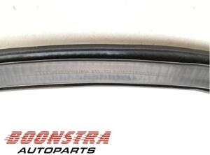 Door Seal AUDI Q5 (FYB, FYG)