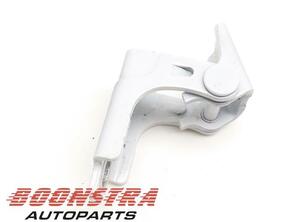 Door Hinge RENAULT Twingo III (BCM)