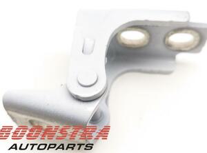 Door Hinge RENAULT Twingo III (BCM)