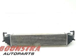 Radiator FIAT 500X (334)