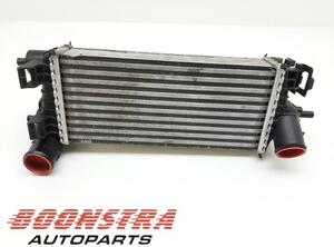 Intercooler FORD Focus III Turnier (--)