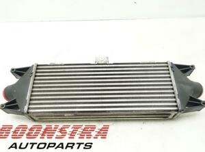 Intercooler IVECO Daily IV Kipper (--), IVECO Daily IV Pritsche/Fahrgestell (--)