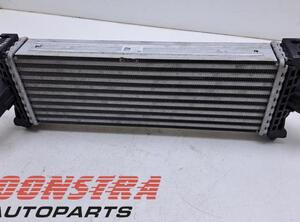 Intercooler FORD TRANSIT V363 Bus (FAD, FBD), FORD TRANSIT V363 Van (FCD, FDD)