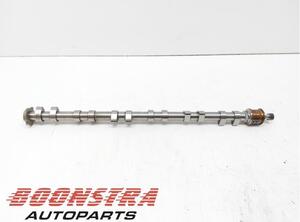 Camshaft FERRARI 599 GTB/GTO (--)