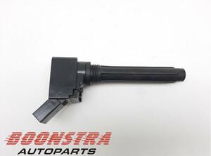 Ignition Coil VW Golf VII (5G1, BE1, BE2, BQ1)