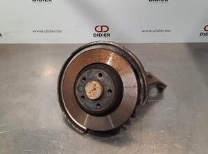 Stub Axle AUDI A6 Avant (4G5, 4GD, C7), AUDI Q5 (8RB)