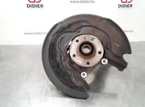 Stub Axle AUDI A6 Avant (4G5, 4GD, C7)