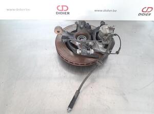 Stub Axle FIAT DOBLO Cargo (263_), FIAT DOBLO MPV (263_), FIAT DOBLO Platform/Chassis (263_)