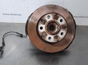 Stub Axle BMW 1 (F20)