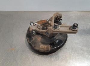 Stub Axle KIA NIRO I (DE)