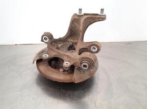 Stub Axle KIA NIRO I (DE)