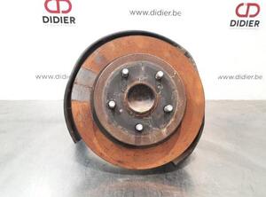 Stub Axle TOYOTA C-HR (_X1_), TOYOTA PRIUS PHV (_W52_)