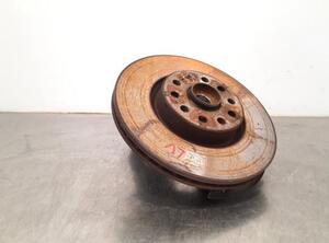 Stub Axle AUDI Q3 (8UB, 8UG)