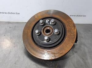 Stub Axle TOYOTA RAV 4 V (_A5_, _H5_)