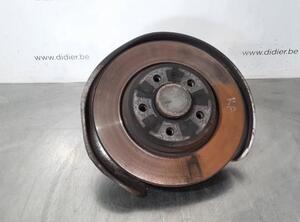 Stub Axle AUDI A4 Avant (8W5, 8WD, B9)