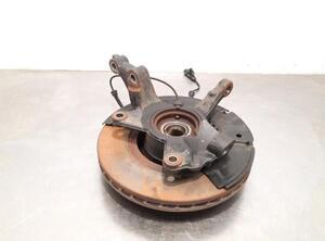 Stub Axle RENAULT CLIO V (B7_)