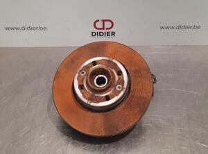 Stub Axle RENAULT CLIO V (B7_)