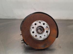 Stub Axle VW GOLF VIII (CD1)