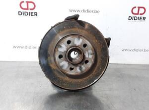 Stub Axle SKODA FABIA III (NJ3), VW POLO (6R1, 6C1), AUDI A1 Sportback (8XA, 8XF), SKODA FABIA II (542)