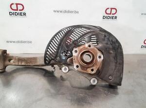 Stub Axle AUDI E-TRON Sportback (GEA)