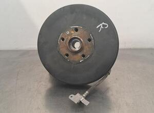 Stub Axle VW ID.5 (E39)