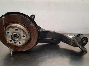 Stub Axle BMW X1 (U11)