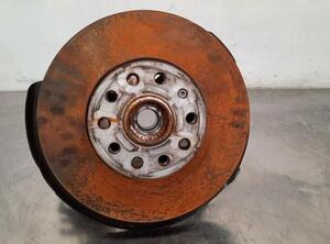 Stub Axle VW GOLF VIII (CD1)