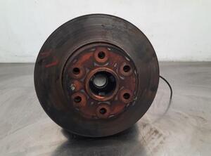 Stub Axle IVECO DAILY IV Van, IVECO DAILY VI Van, IVECO DAILY V Van