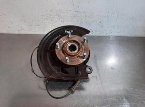 Stub Axle NISSAN JUKE (F15)